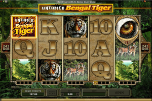 untamedbengalitiger