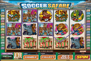 soccersafari